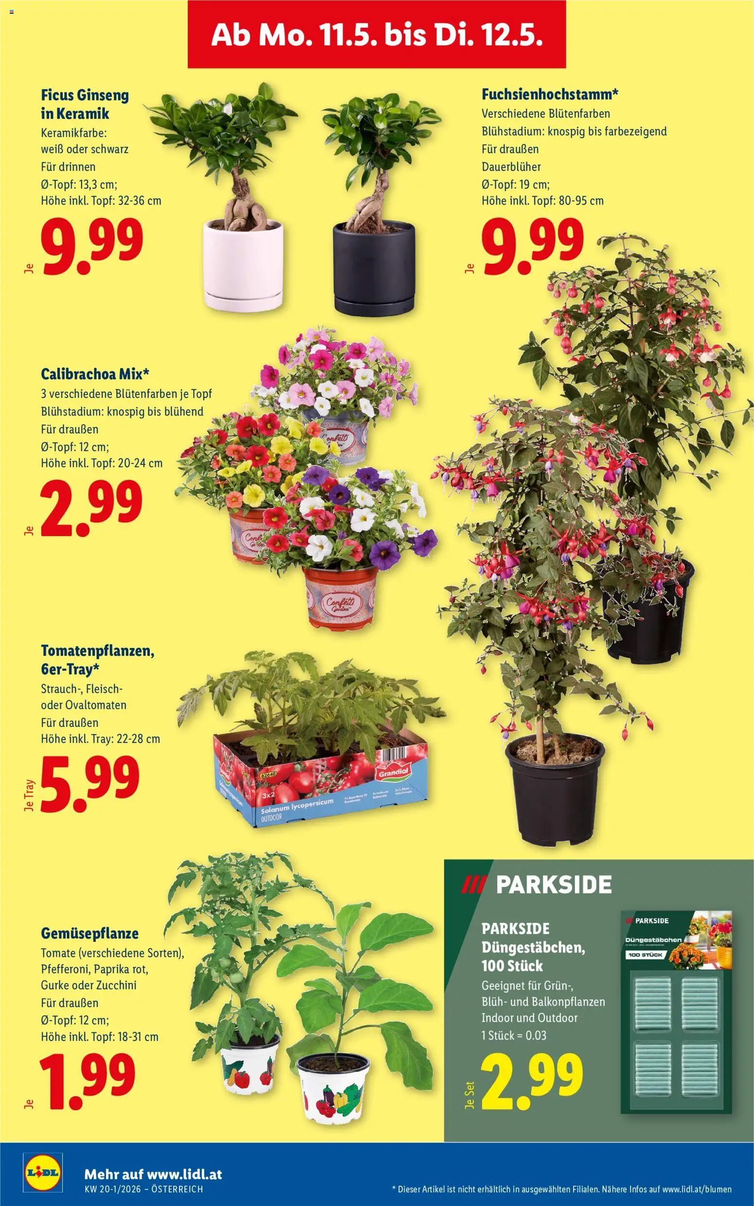 Lidl Flugblatt - Altenmarkt im Pongau, St. Johann im Pongau, Zell am See gültig ab 07.05.2026 | Seite: 31