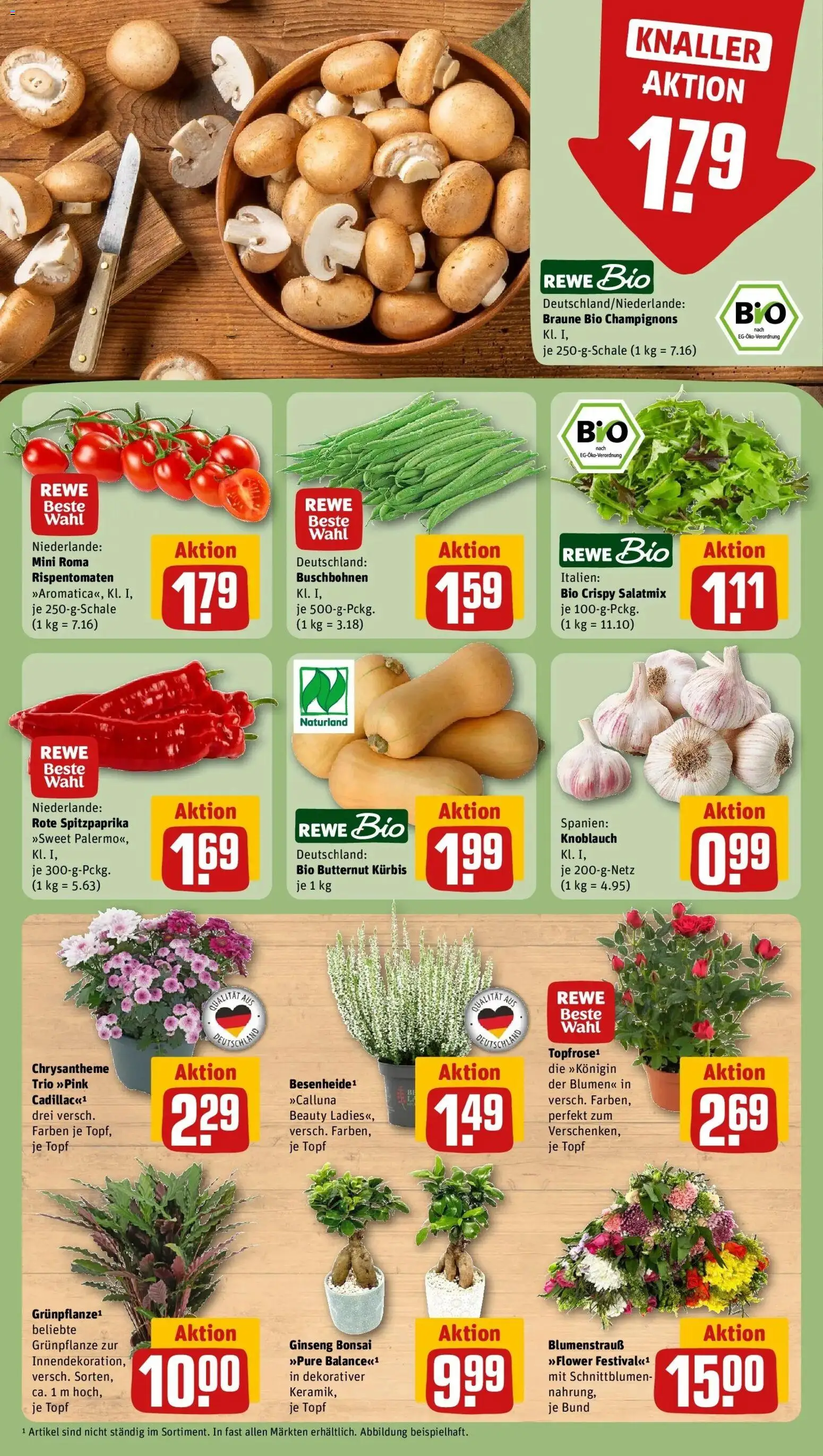 REWE Prospekt ab 31.08.2026 zum Blättern » Angebote | Seite: 7 | Produkte: Blumen, Champignons, Knoblauch, Kürbis