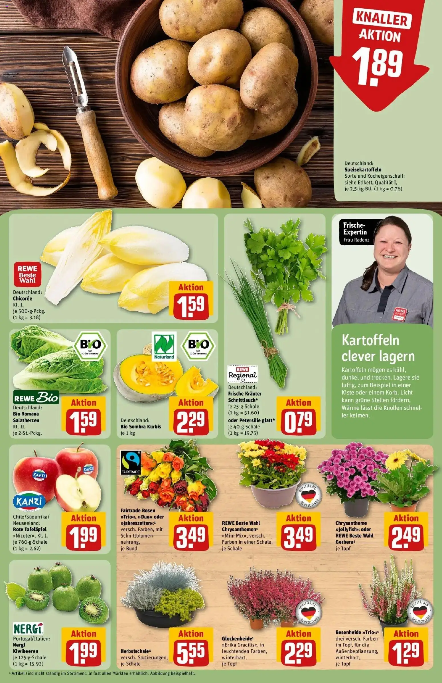 REWE Prospekt ab 21.09.2026 zum Blättern » Angebote | Seite: 13 | Produkte: Kartoffeln, Kürbis, Petersilie