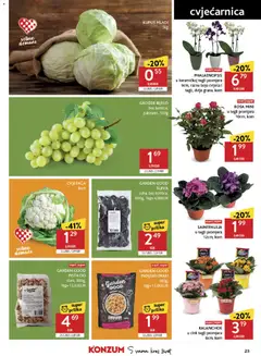 GROŽĐE BIJELO, bez koštica, pakirano, 500g - Pregled kataloga iz trgovine Konzum, vrijedi od 10.06.2026 | Stranica: 23