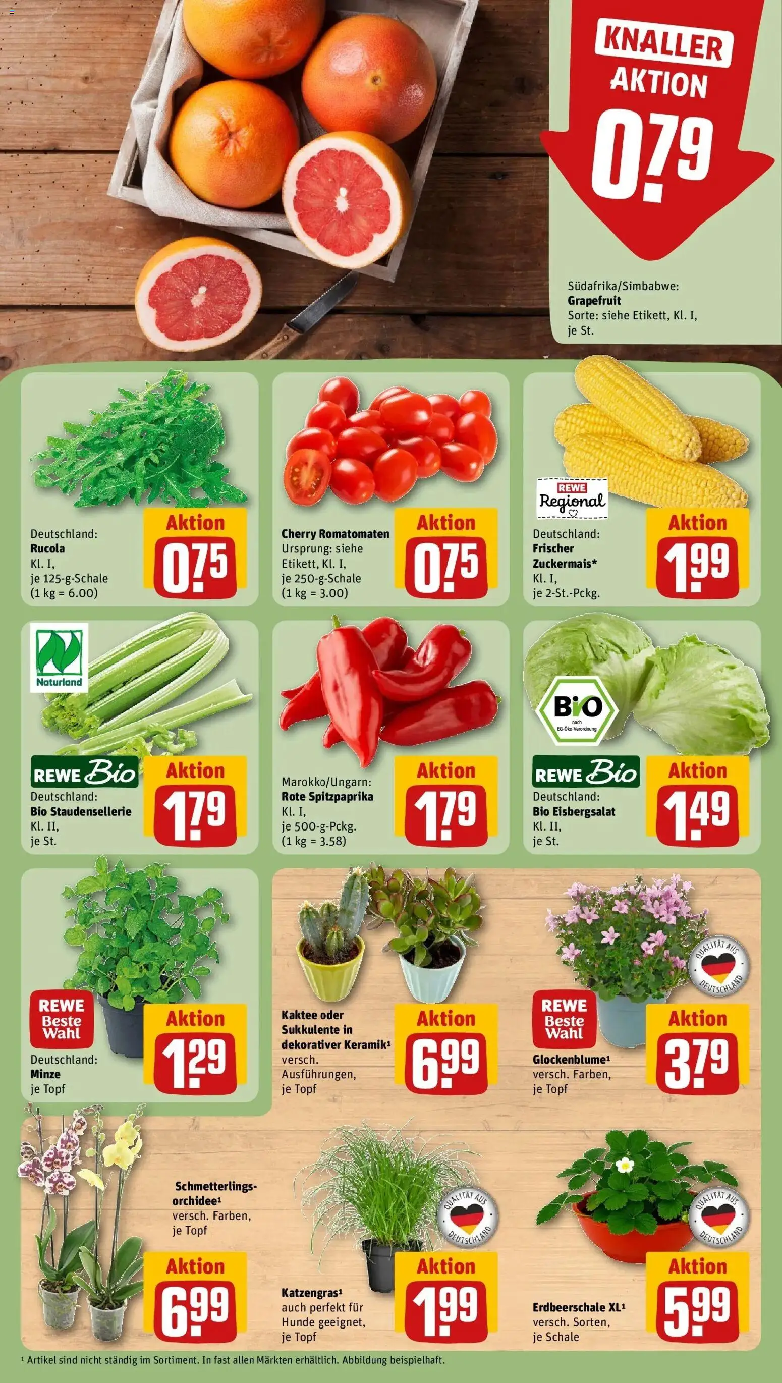 Rewe Prospekt Frankfurt / Nordend-Ost – gültig ab 27.07.2026 | Seite: 5 | Produkte: Orchidee, Rucola, Eisbergsalat, Grapefruit