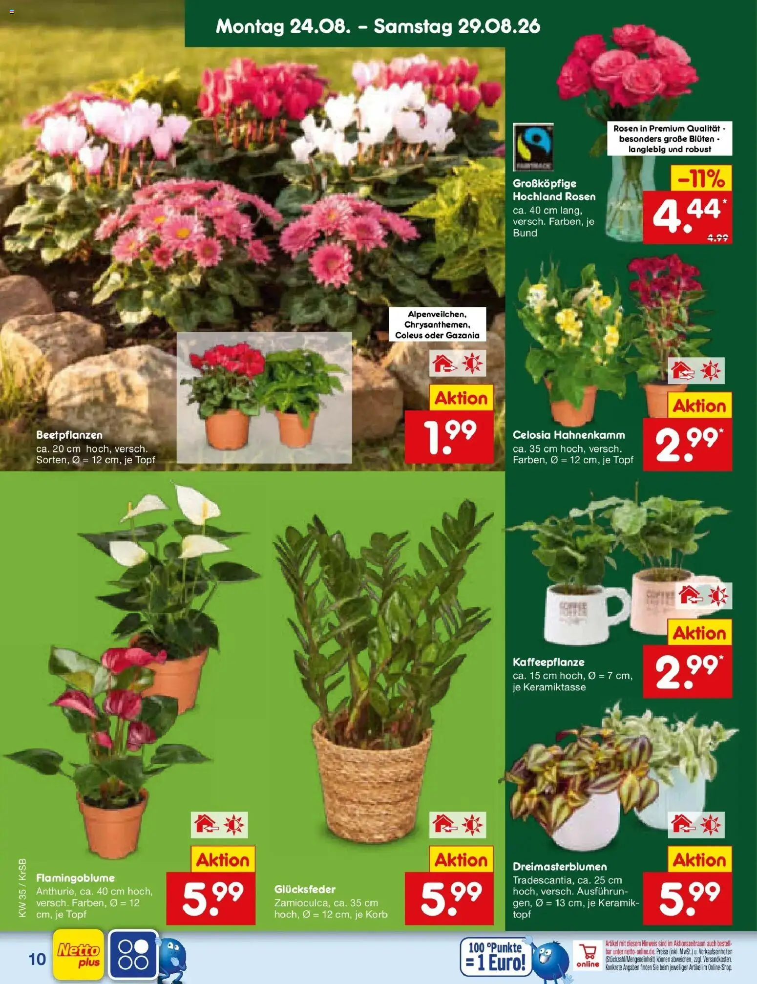 Netto Marken-Discount Prospekt Baesweiler – gültig ab 24.08.2026 | Seite: 14 | Produkte: Korb