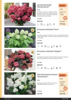 Náhled letáku Starkl katalog od 25.02.2026 | Strana: 10 | Produkty: Rostliny