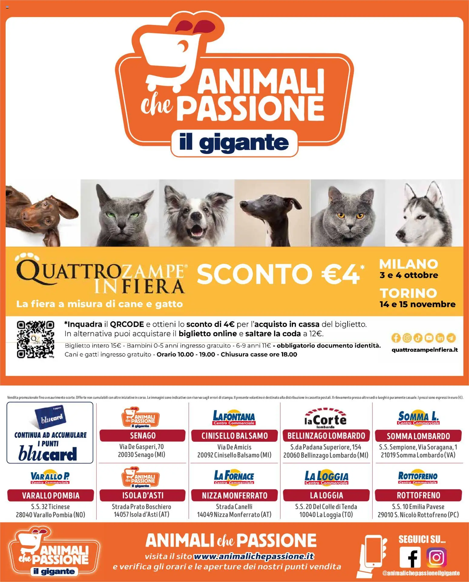 Volantino Il Gigante del 10/09/2026 | Pagina: 8 | Prodotti: Balsamo, Tenda, PC