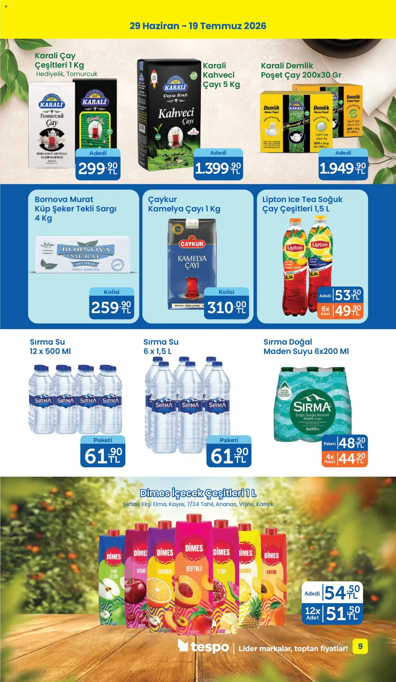 Tespo Katalog - 29 Haziran 2026 tarihinden itibaren geçerlidir | Sayfa: 9