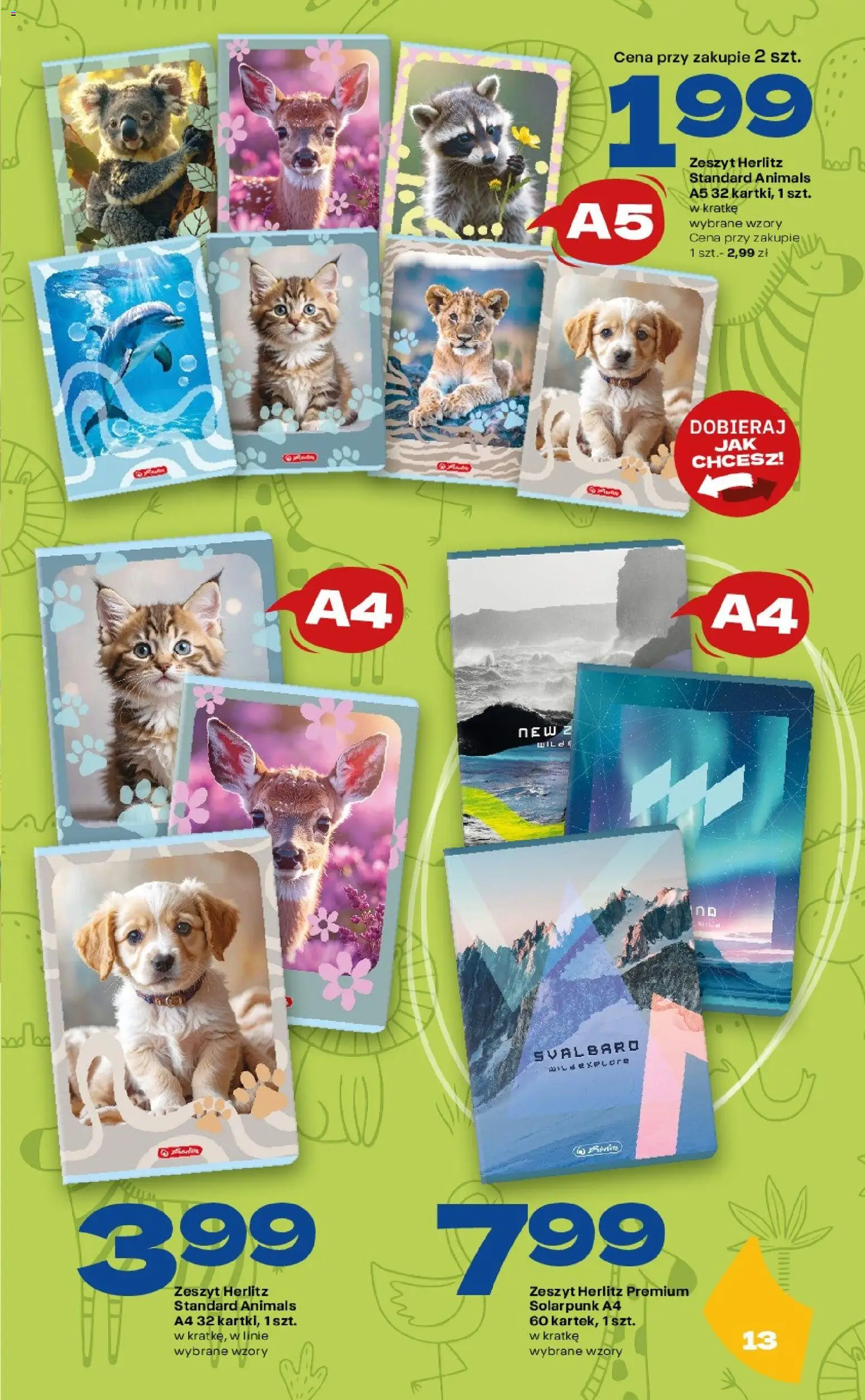 Twój Market gazetka - Katalog szkolny od 20.07.2026 | Strona: 13 | Produkty: Zeszyt