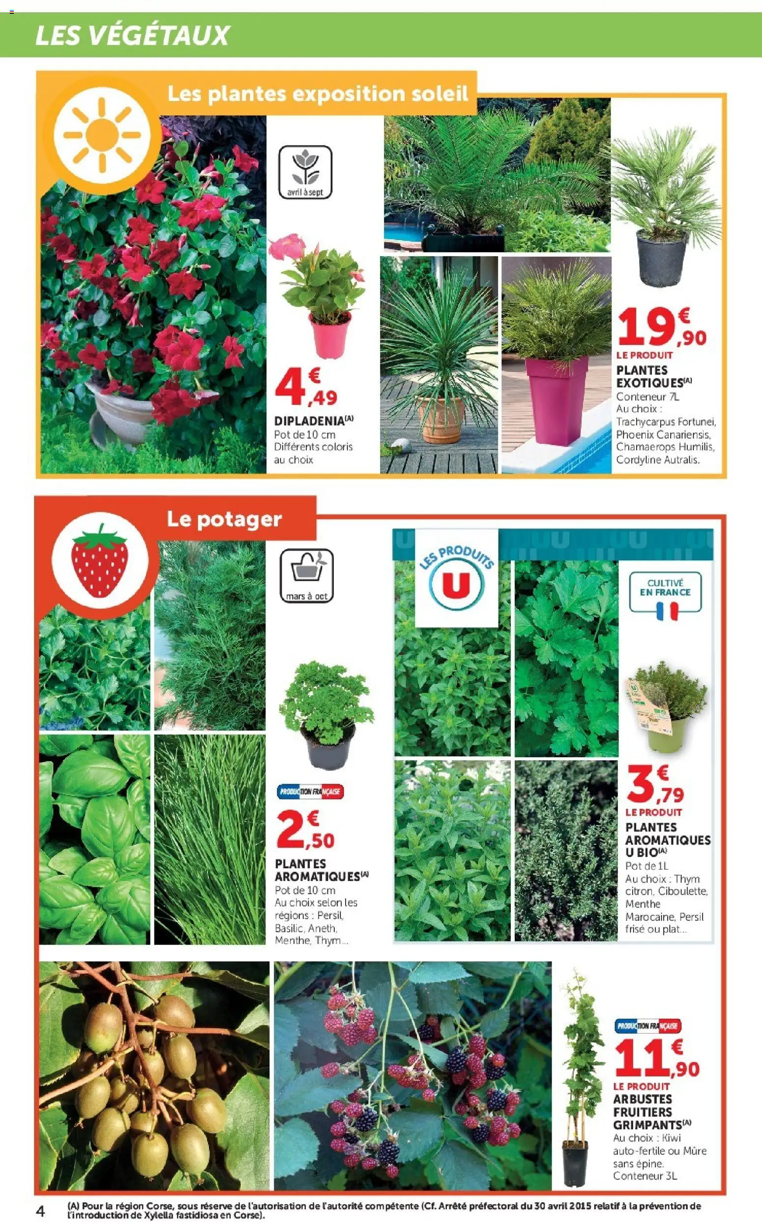 {H1} | Page: 4 | Produits: Le potager, Menthe, Persil, Kiwi