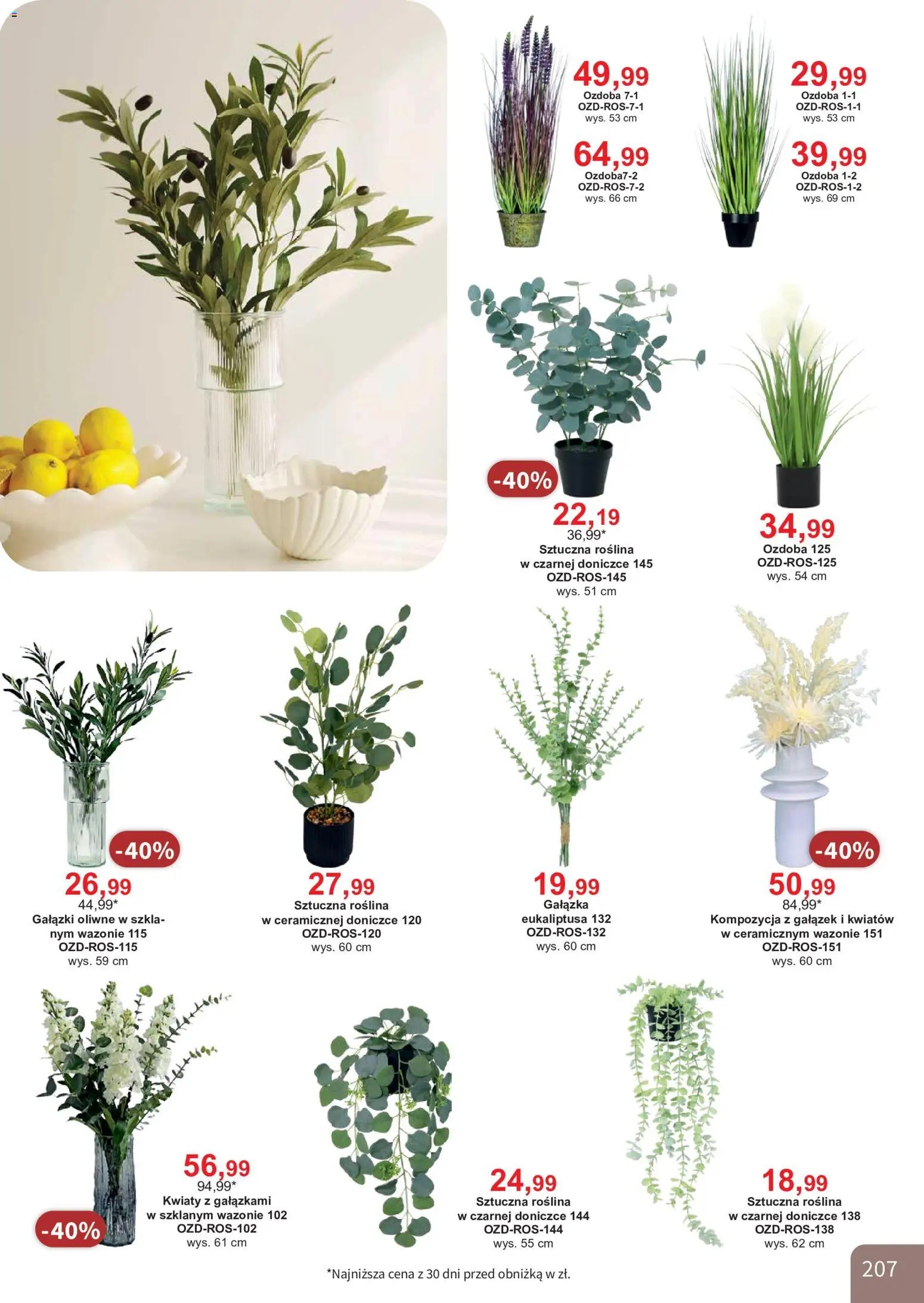 Bodzio Katalog od 01.08.2026 | Strona: 207 | Produkty: Kwiaty
