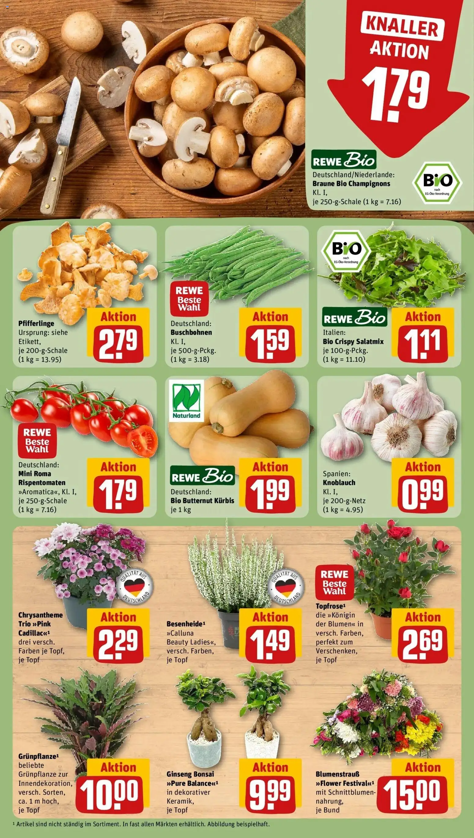 REWE Prospekt ab 31.08.2026 zum Blättern » Angebote | Seite: 7 | Produkte: Champignons, Knoblauch, Pfifferlinge, Kürbis