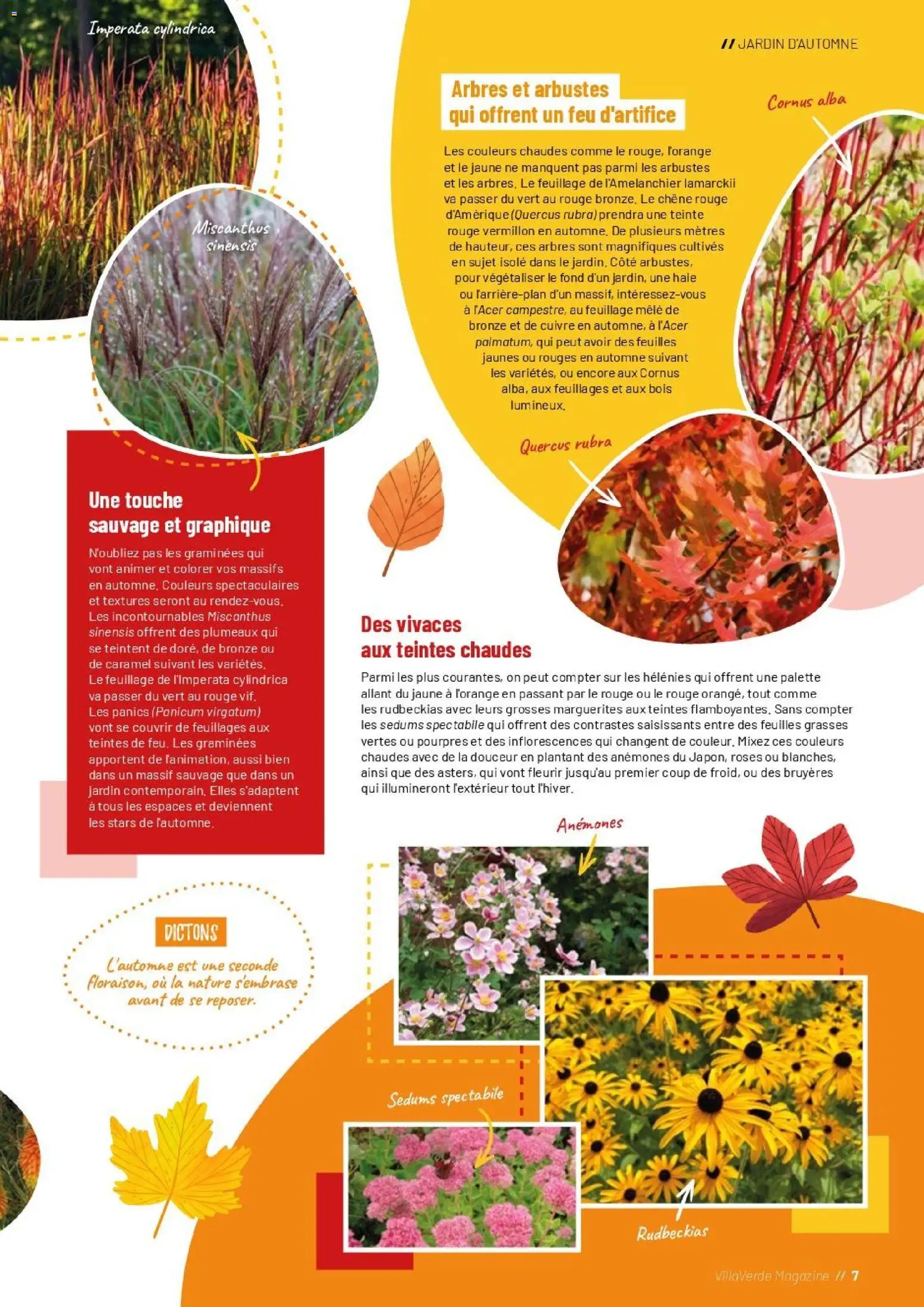 {H1} | Page: 7 | Produits: Magazine