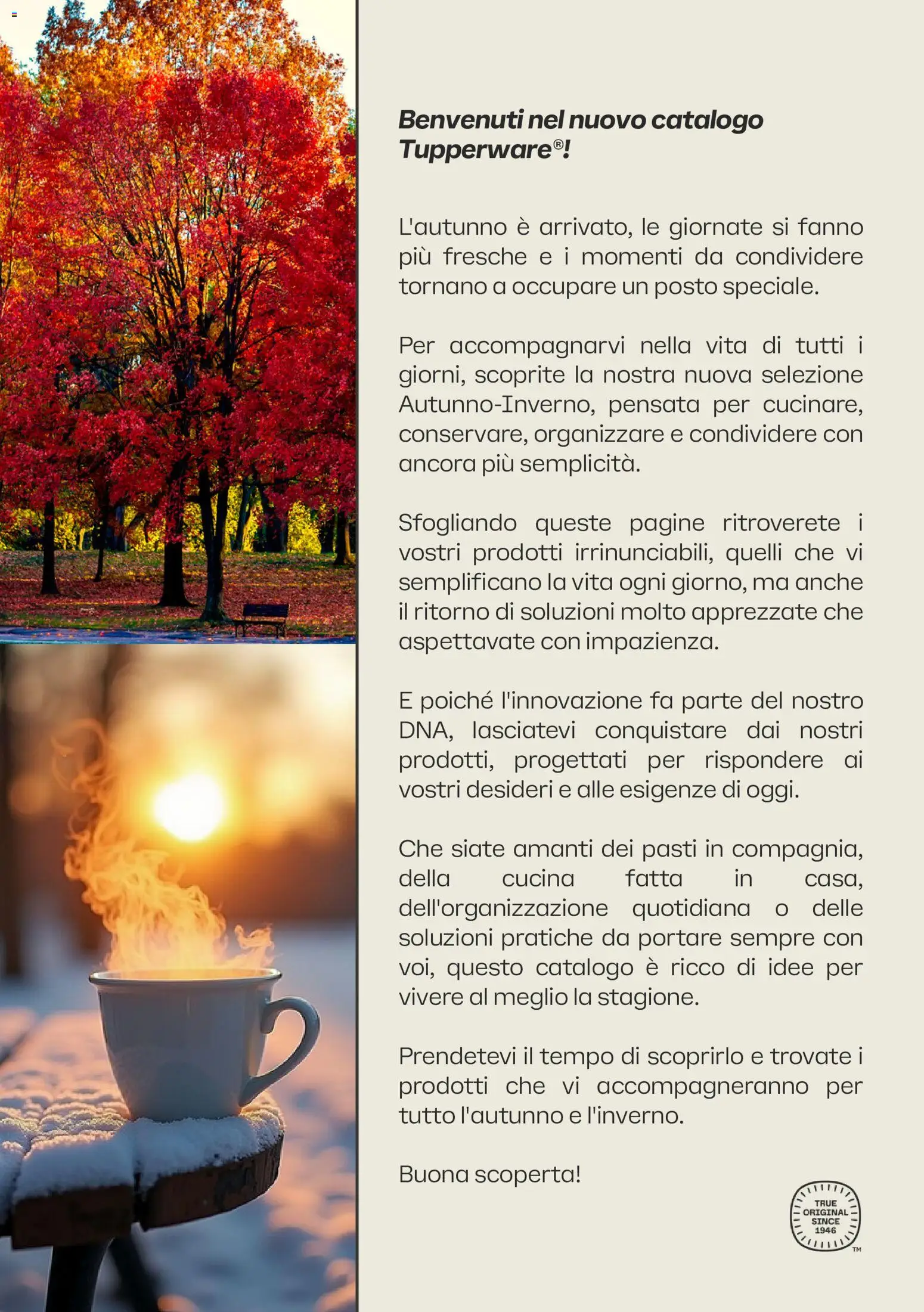 Volantino Tupperware del 01/10/2026 | Pagina: 2
