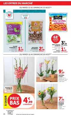 Super U - Prévisualisation de Super U catalogue valide à partir de 11/08/2026 | Page: 26 | Produits: Carottes, Orchidée 2 tiges, Orchidée, Carotte
