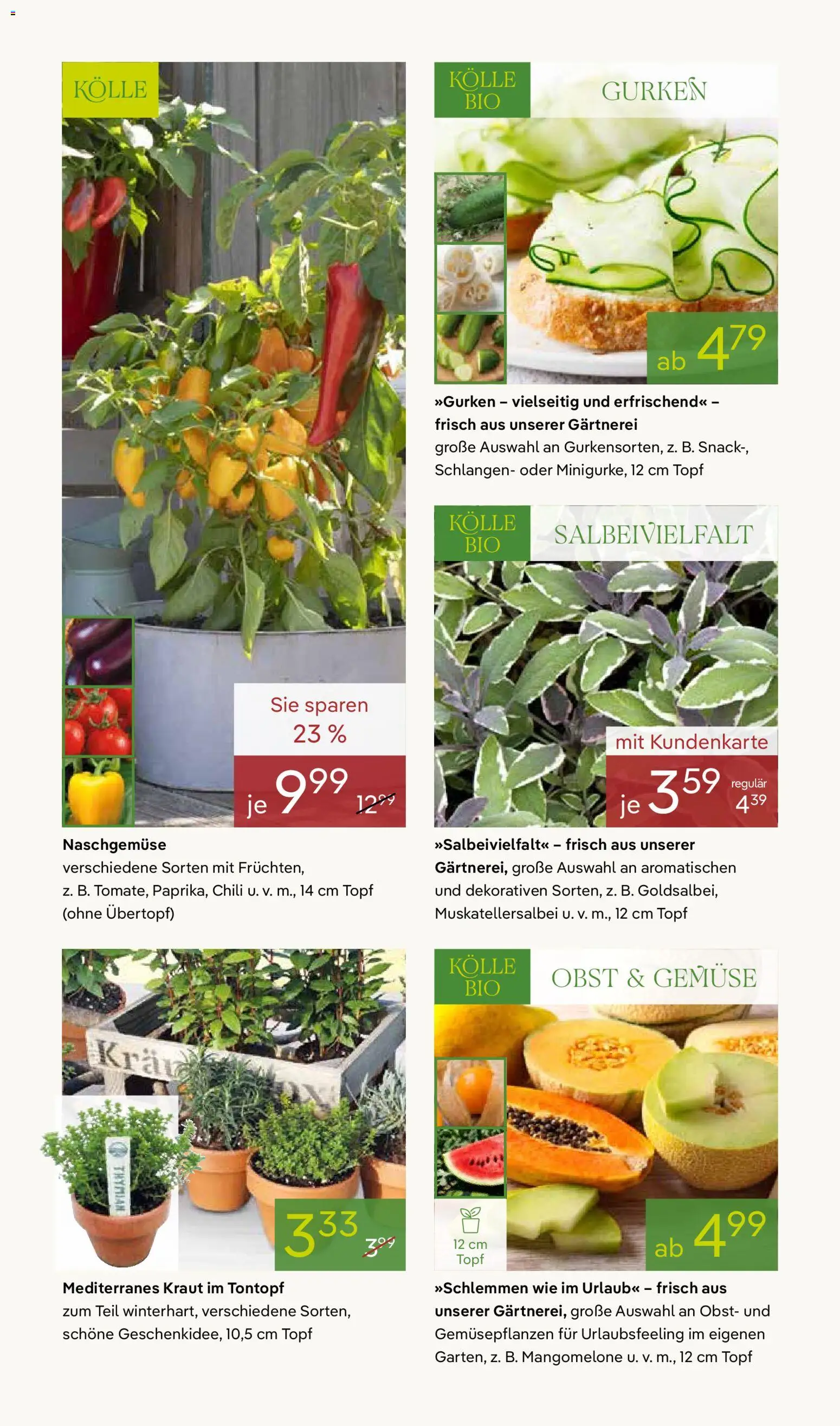 Pflanzen-Kölle Prospekt 	 – gültig ab 04.05.2026 | Seite: 10