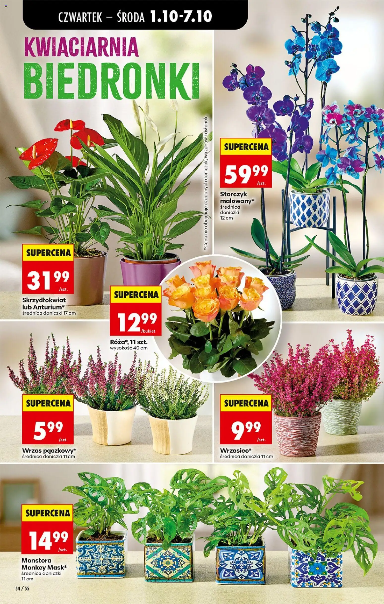 Biedronka Polsko leták - Codziennie niskie ceny od 01.10.2026 | Strana: 76 | Produkty: Monstera, Storczyk