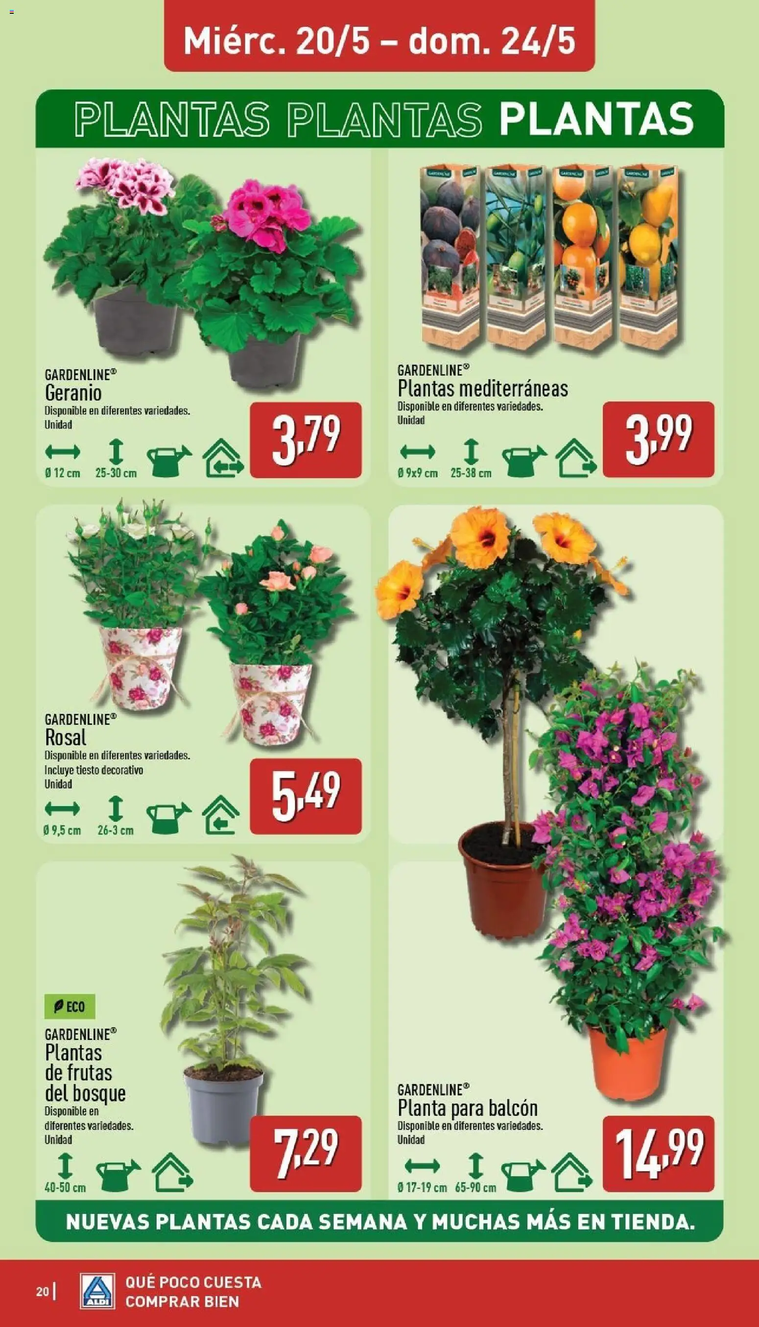 Aldi folleto Baleares │ válido desde el 18.05.2026 | Página: 20