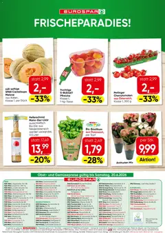 Eurospar Flugblatt ab 18.06.2026 gültig | Seite: 16 | Produkte: Obst, Melone, Bad, Eier