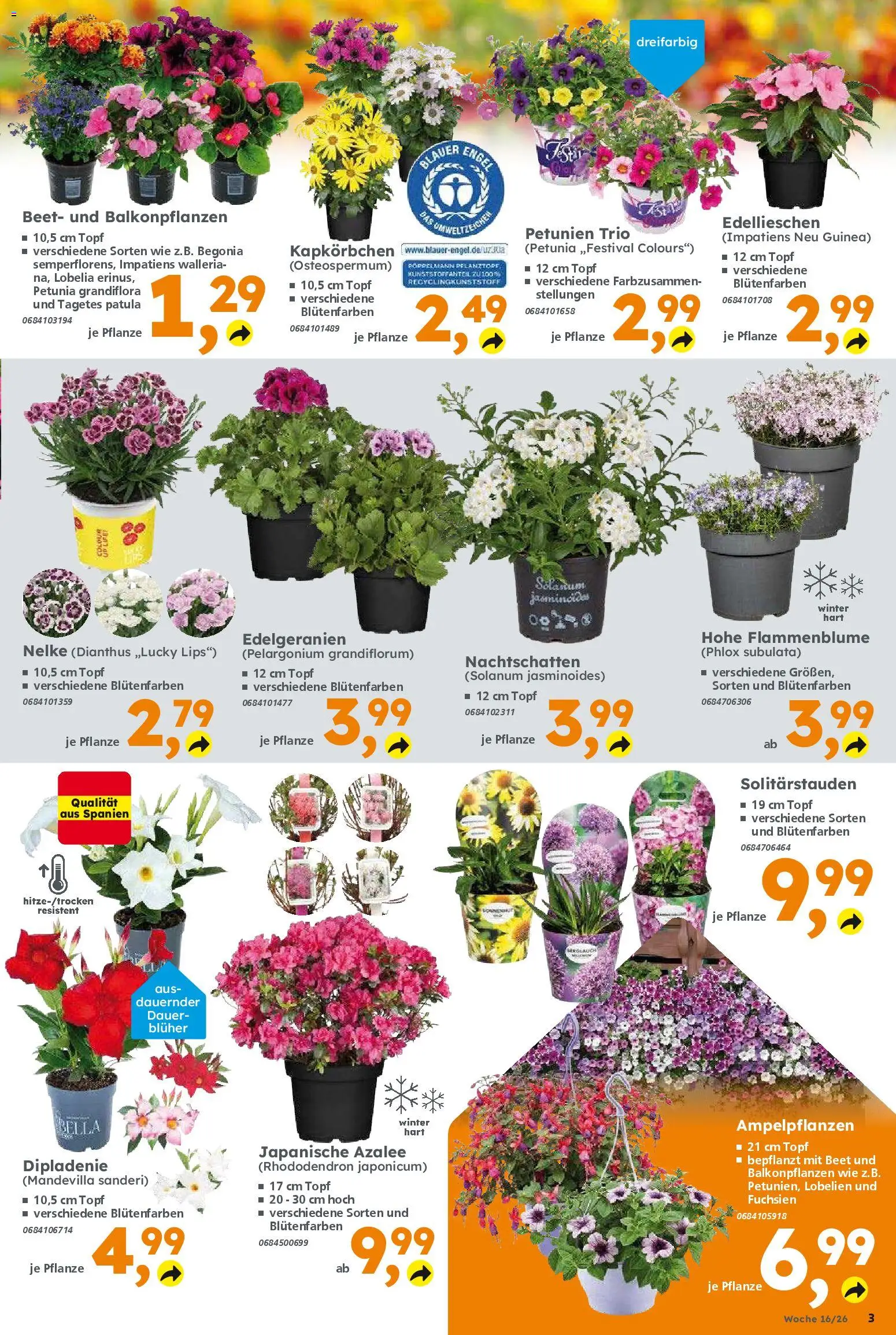 Globus Baumarkt Prospekt 	 – gültig ab 13.04.2026 | Seite: 3