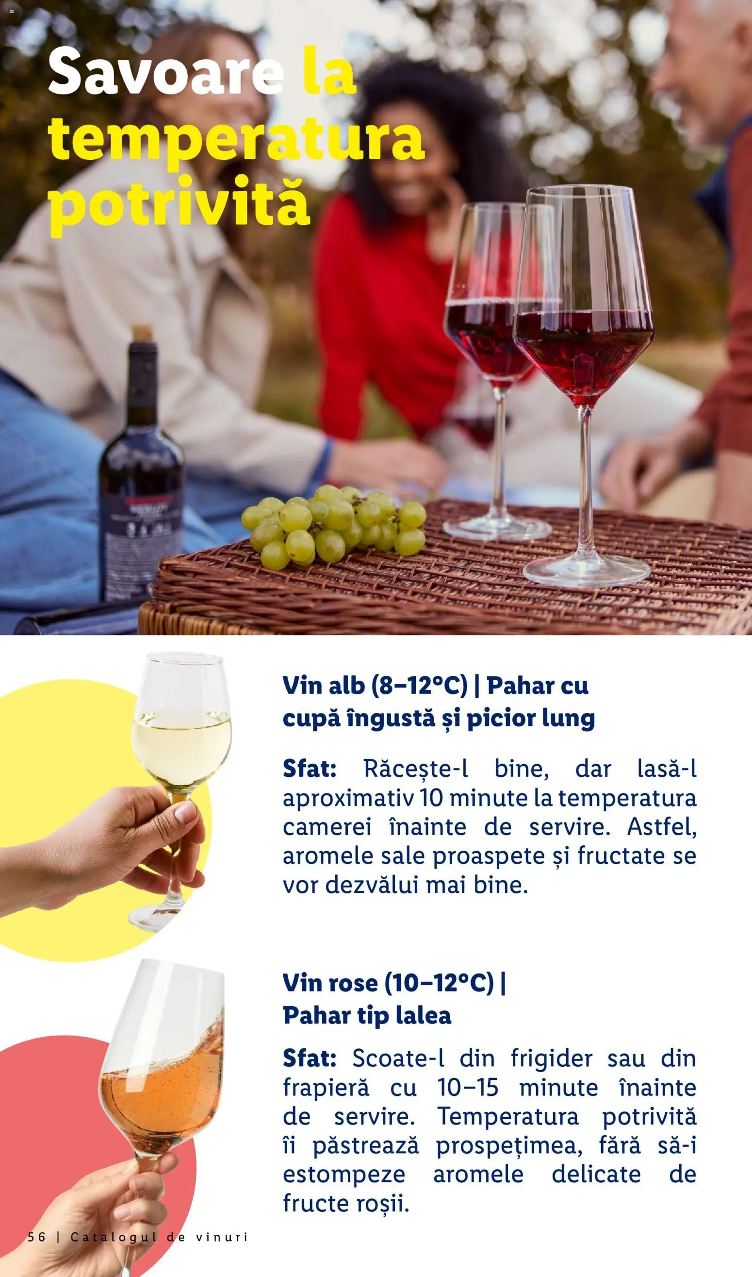 Noul catalog Lidl – valabil de la 28.09.2026 | Pagină: 56 | Produse: Frigider, Vin rose, Vin, Tip