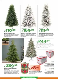 Anteprima del volantino Offerte - Il Natale è alle porte valido a partire dal 23/10/2026 | Pagina: 19
