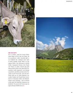 Sutterlüty B'sundrig Magazin ab 03.07.2026 gültig | Seite: 75 | Produkte: Eis, Milch