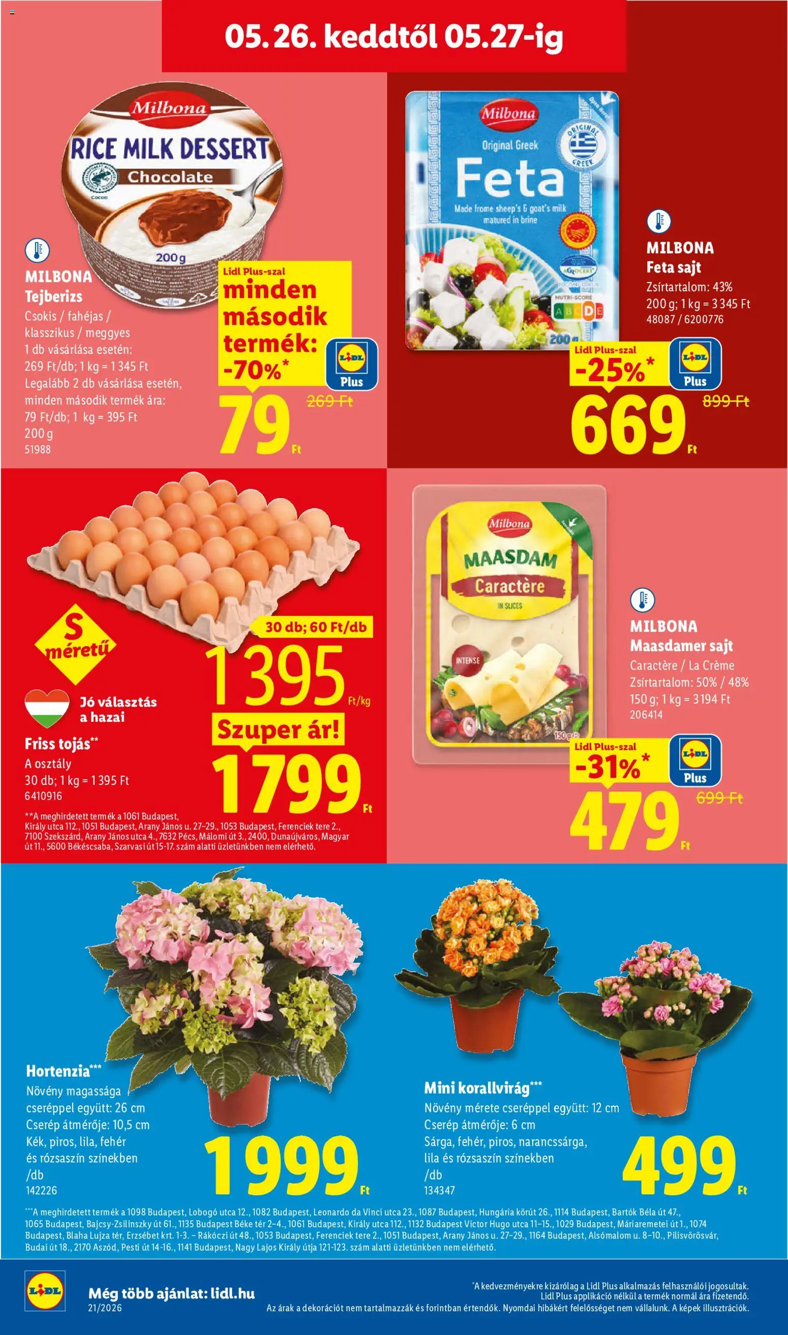 Lidl akciós ujság - amely érvényes a következő dátumtól: 21.05.2026 | Oldal: 70 | Termékek: Hortenzia, Tejberizs, Sajt, Tojás