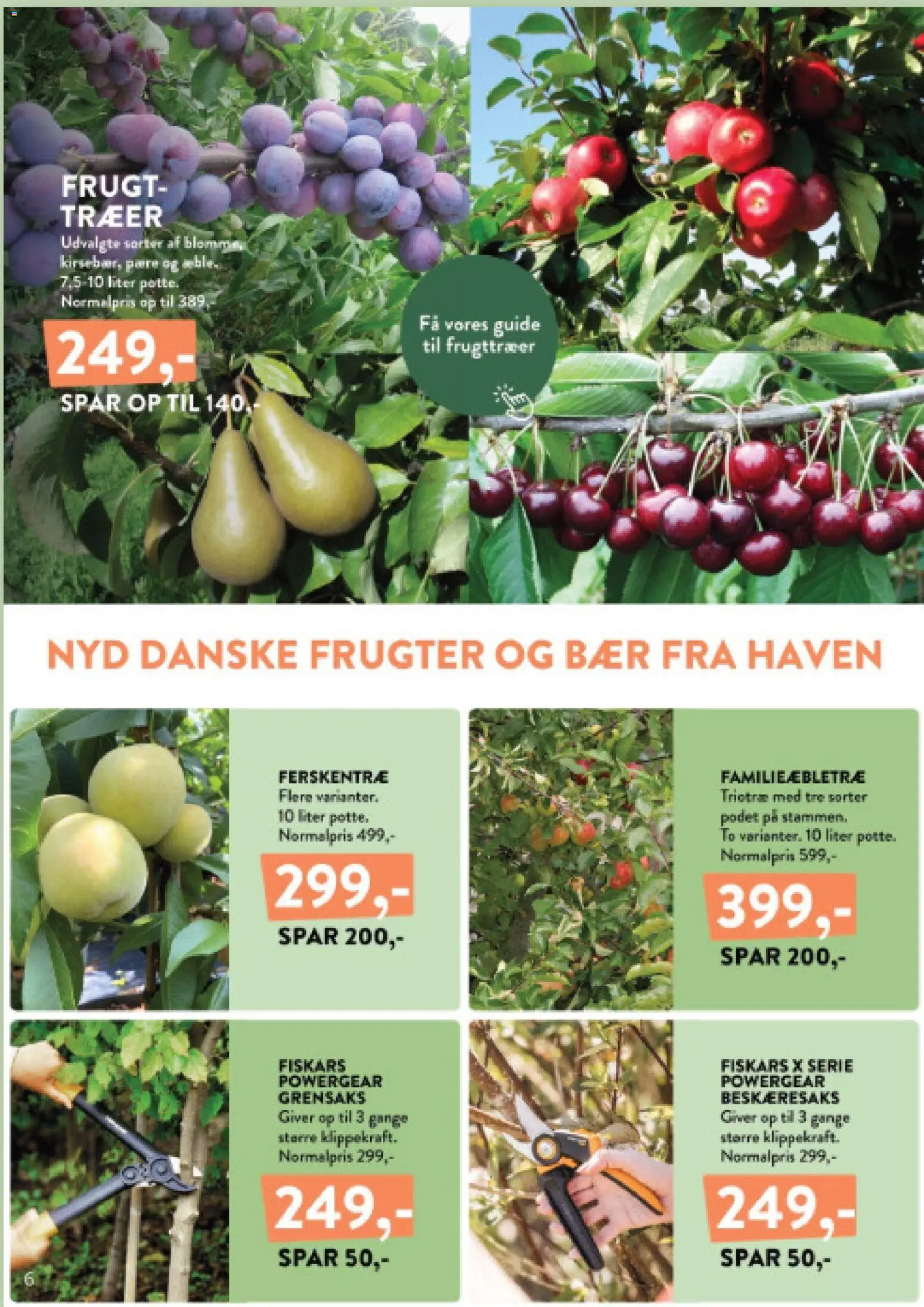 Plantorama tilbudsavis – gyldig fra 04/09/2026 | Side: 6