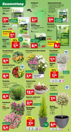 Thomas Philipps Flugblatt ab 07.09.2026 gültig | Seite: 5 | Produkte: Wasser, Birne