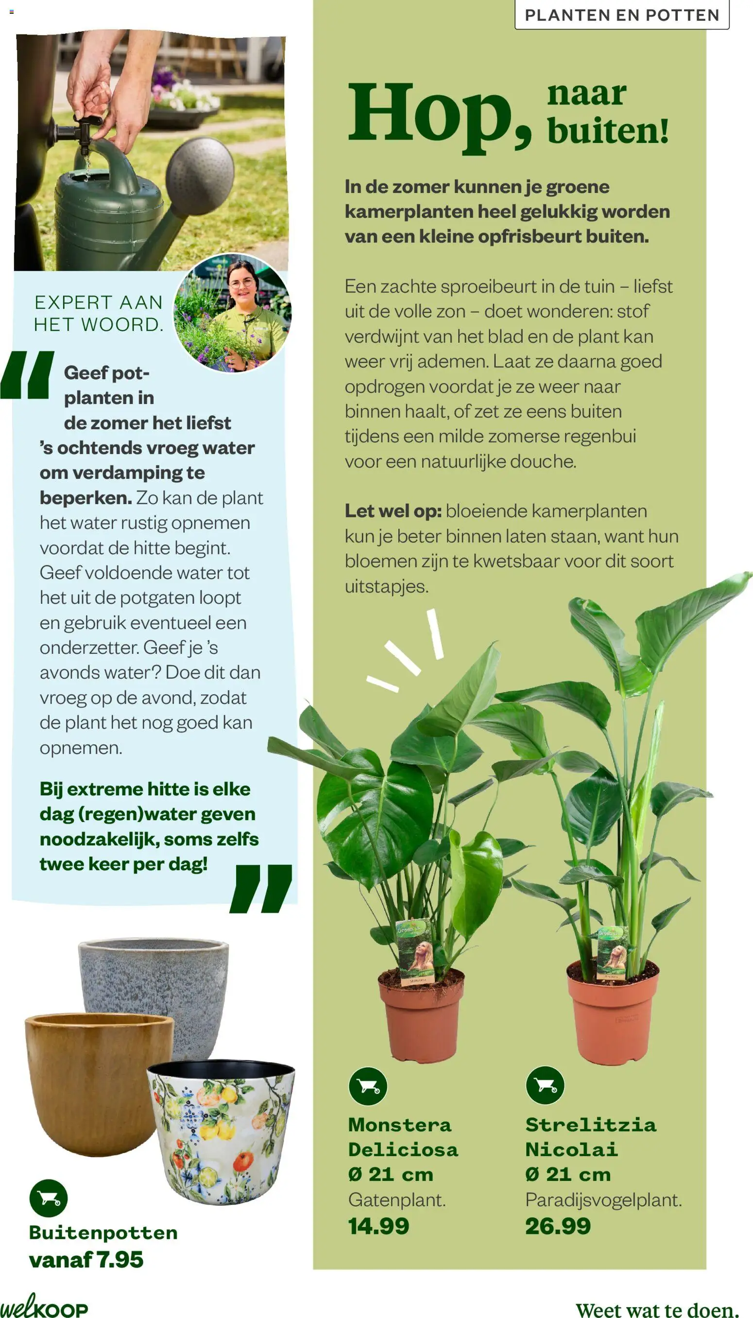 {H1} | Pagina: 9 | Producten: Pot, Kan, Kamerplanten, Festék