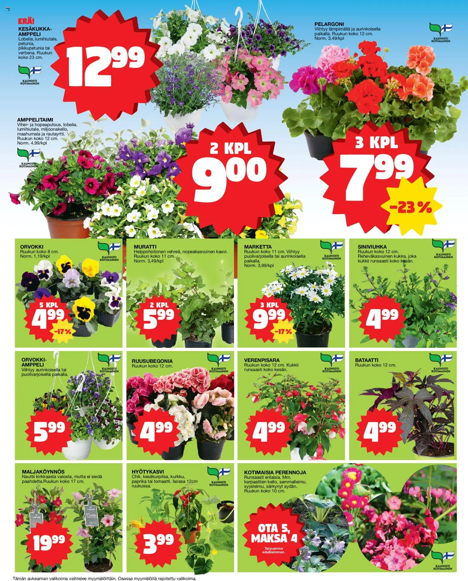 Tokmanni tarjoukset – voimassa 18.05.2026 alkaen | Sivu: 2 | Tuotteet: Bataatti, Paprika