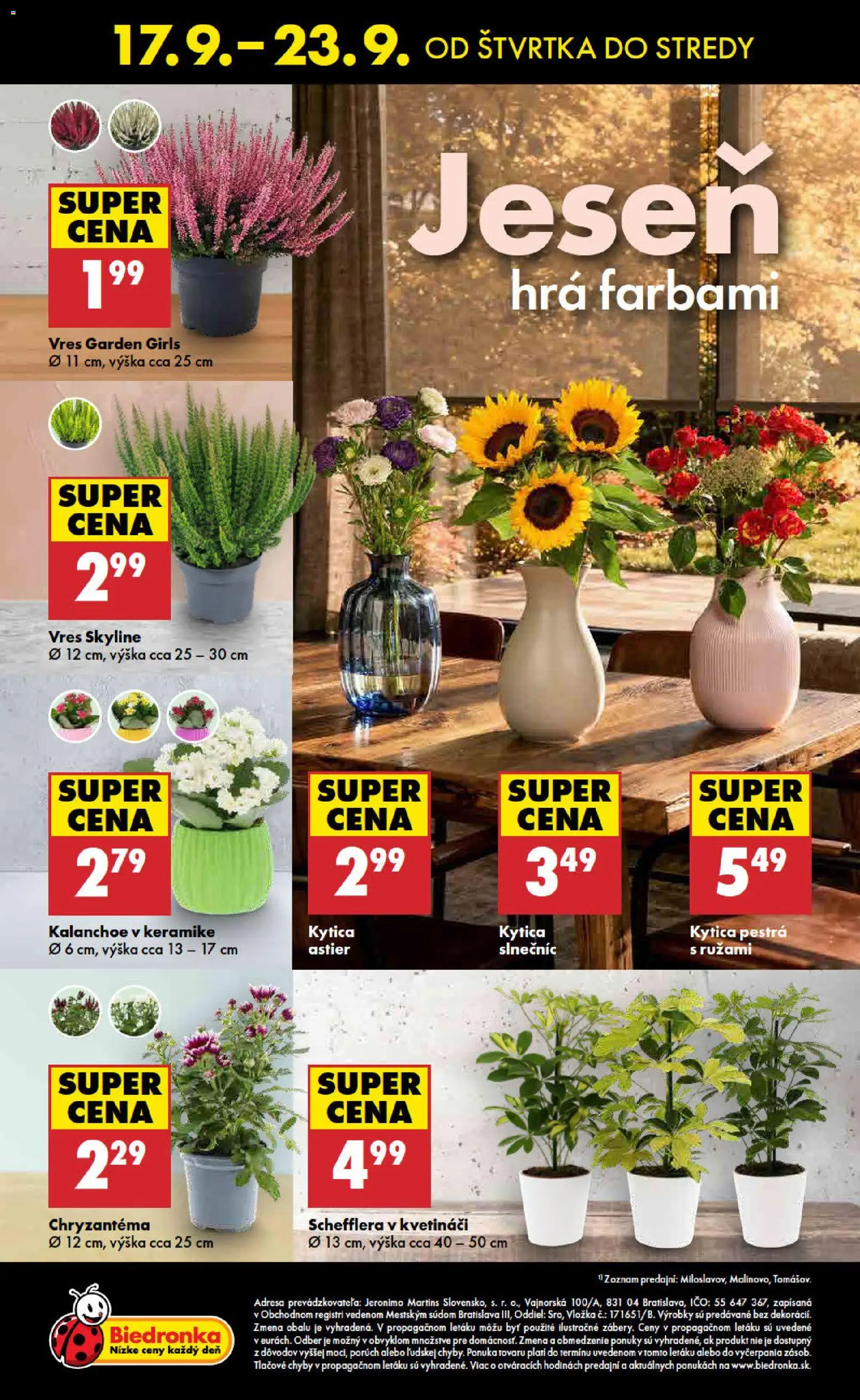 Nové Biedronka akcie – leták je platný od 17.09.2026 | Strana: 48 | Produkty: Hra