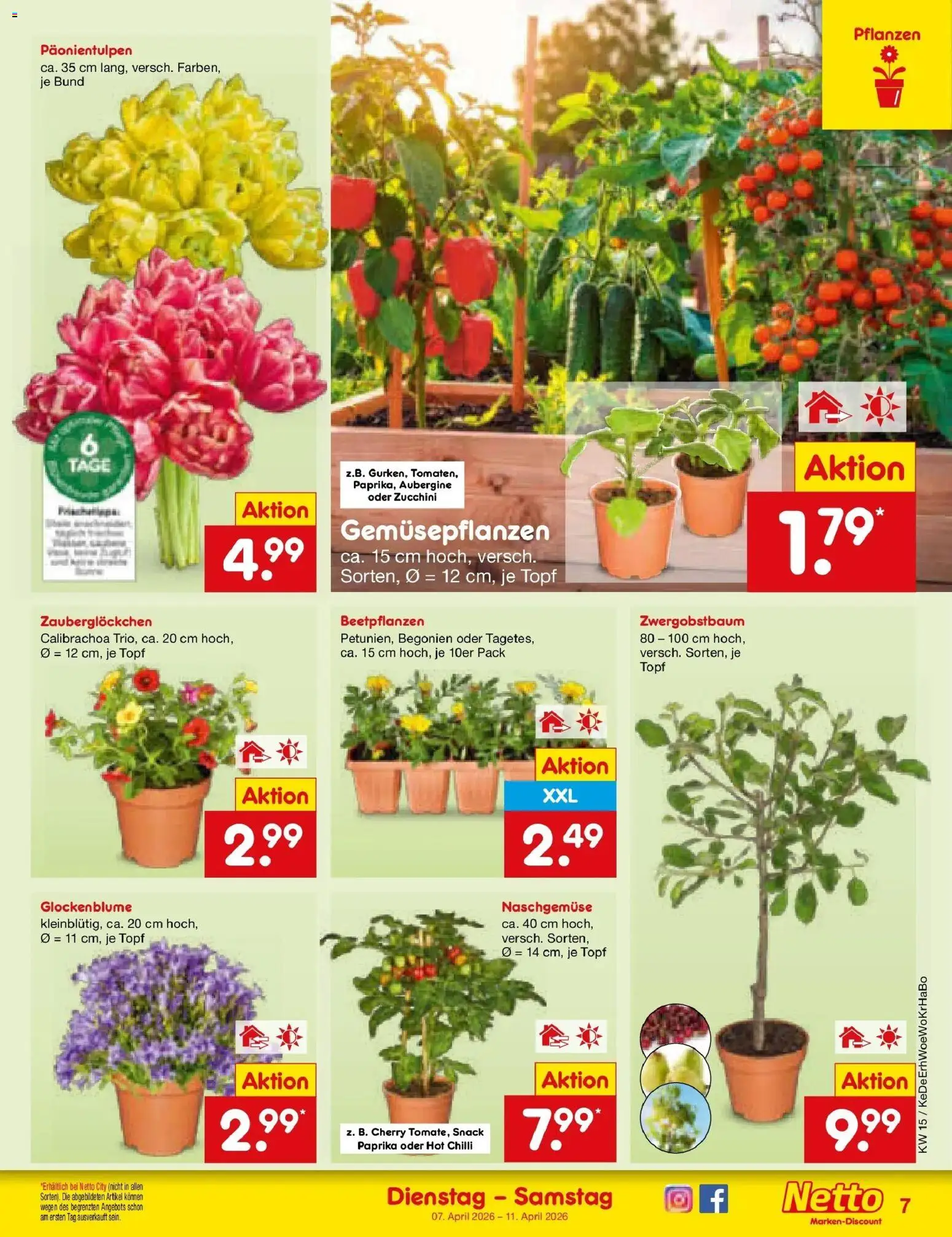 Netto Marken-Discount Prospekt München	 – gültig ab 07.04.2026 | Seite: 9 | Produkte: Paprika, Aubergine, Zucchini