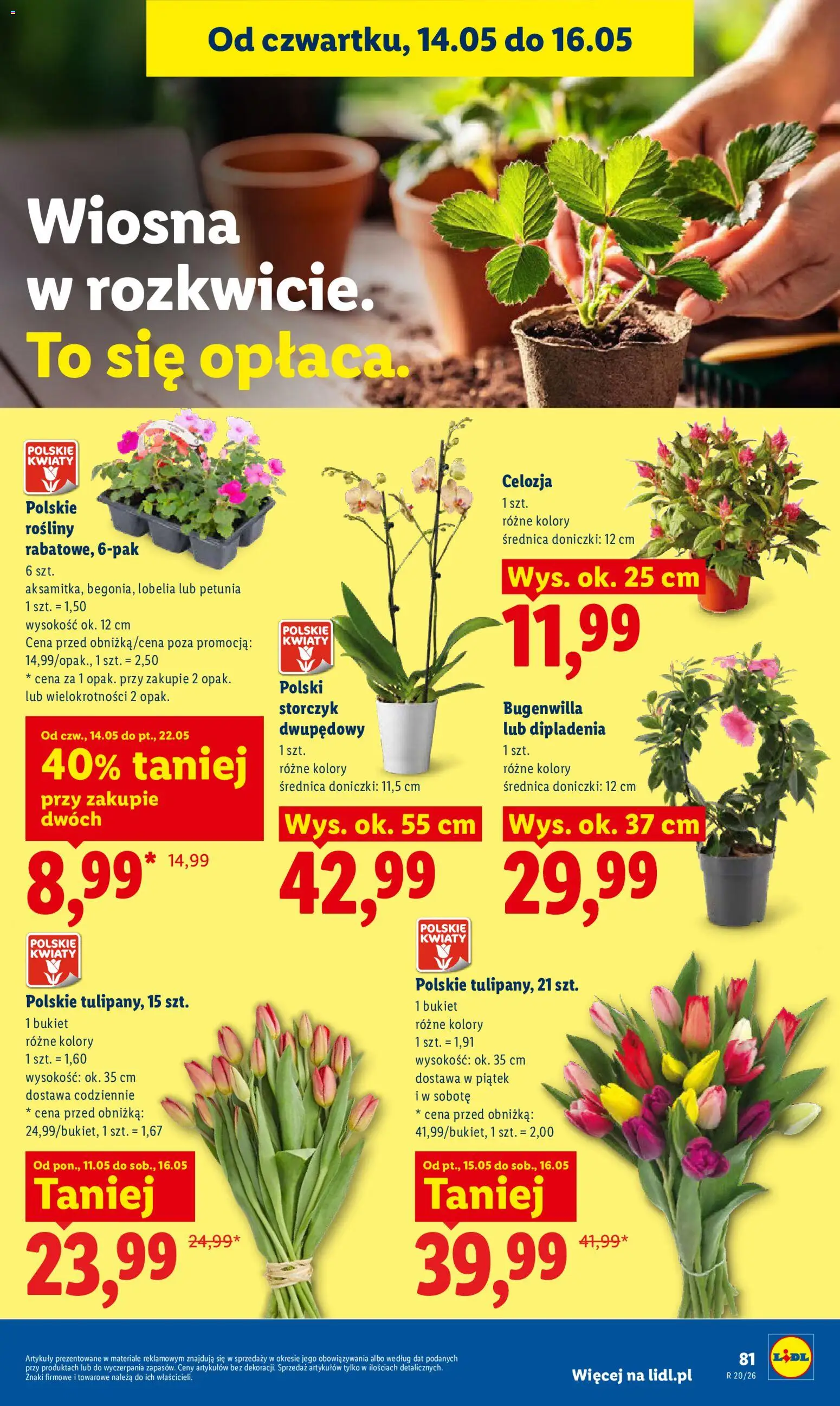 Lidl Polsko leták od 14.05.2026 | Strana: 87