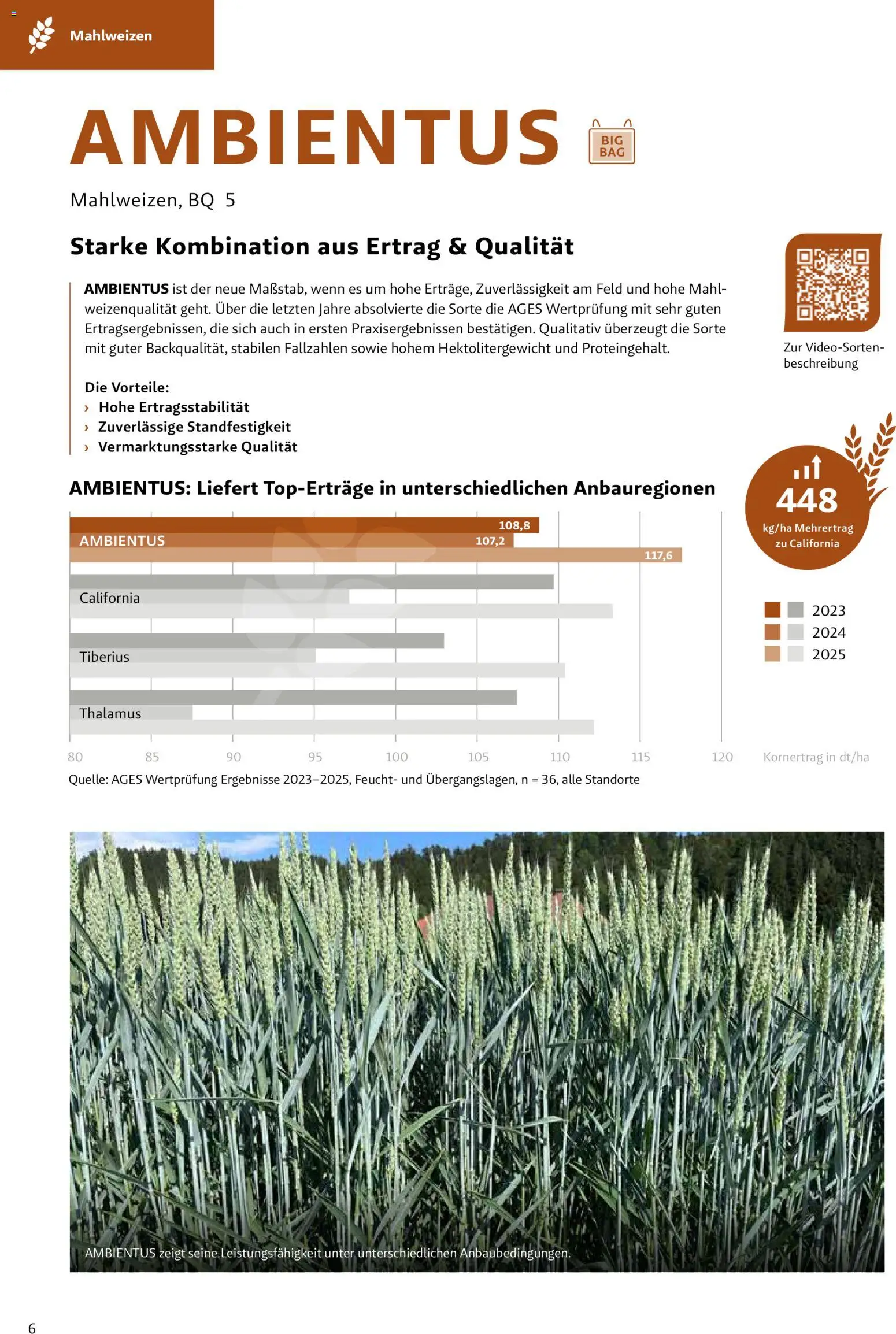 Lagerhaus Fachblatt Saatgut Herbst gültig ab 22.07.2026 | Seite: 6