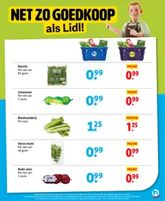 Hoogvliet folder - Voorbeeld van een folder van Hoogvliet, geldig van 10.06.2026 | Pagina: 11 | Producten: Munt, Rucola, Telefonok, Zak