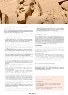 Vista previa Halcón Viajes Egipto válido desde el 01.07.2025 | Página: 81 | Productos: Organizador, Caja