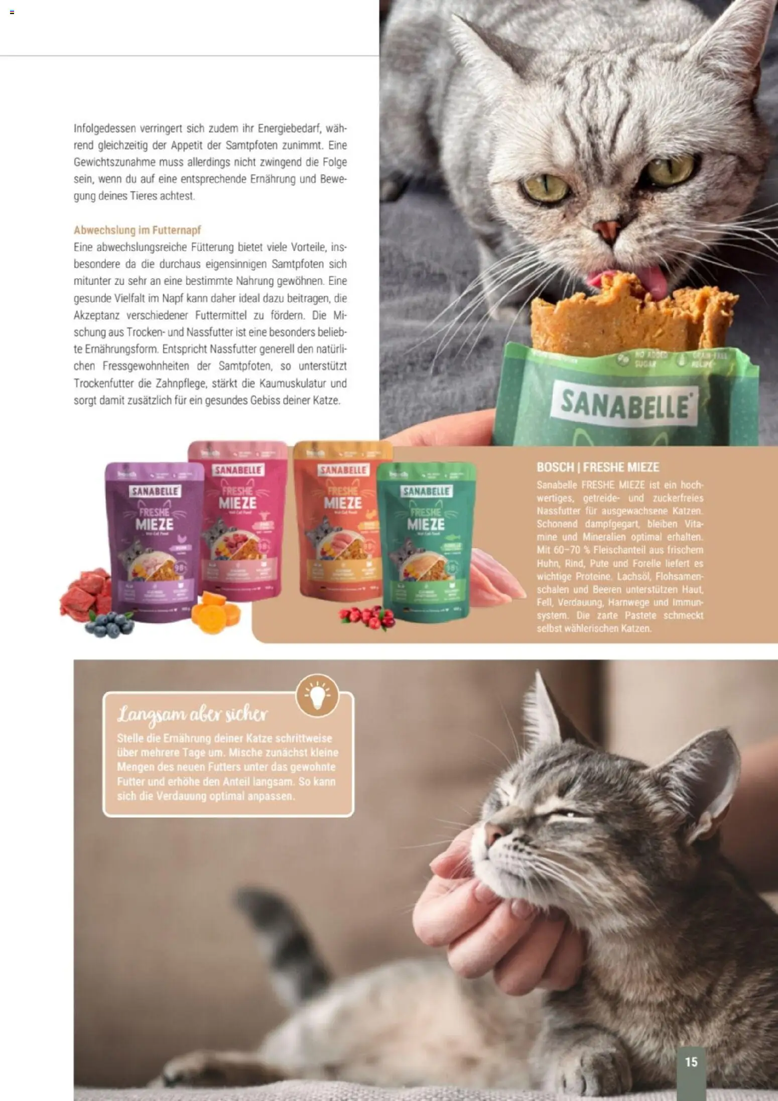 zookauf Themenkatalog Katze – gültig ab 01.10.2026 | Seite: 15 | Produkte: Bosch, Pute, Getreide