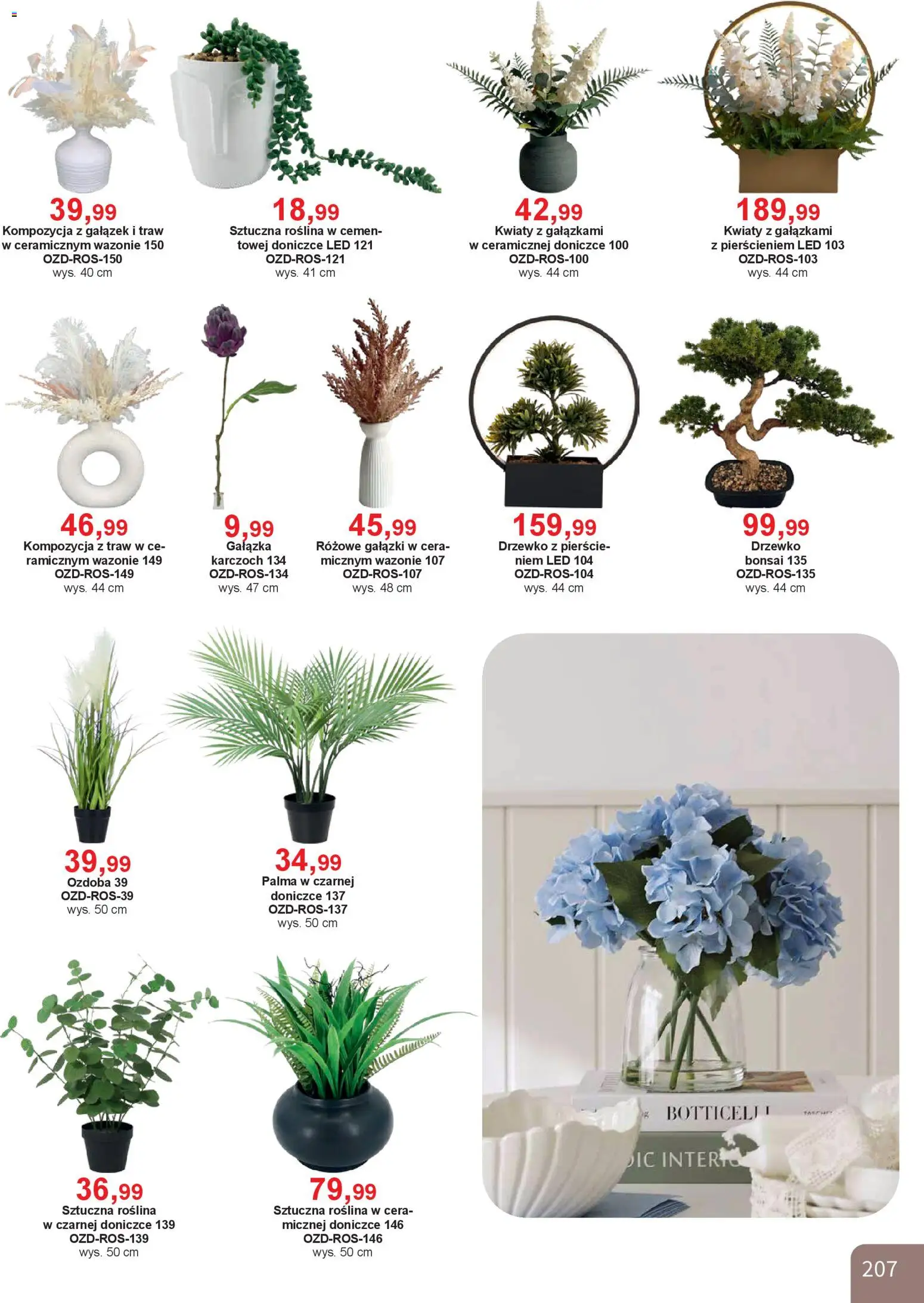Bodzio Katalog od 01.04.2026 | Strona: 207 | Produkty: Kwiaty