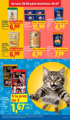 Ofertele Lidl valabile de la 29.06.2026 | Pagină: 41