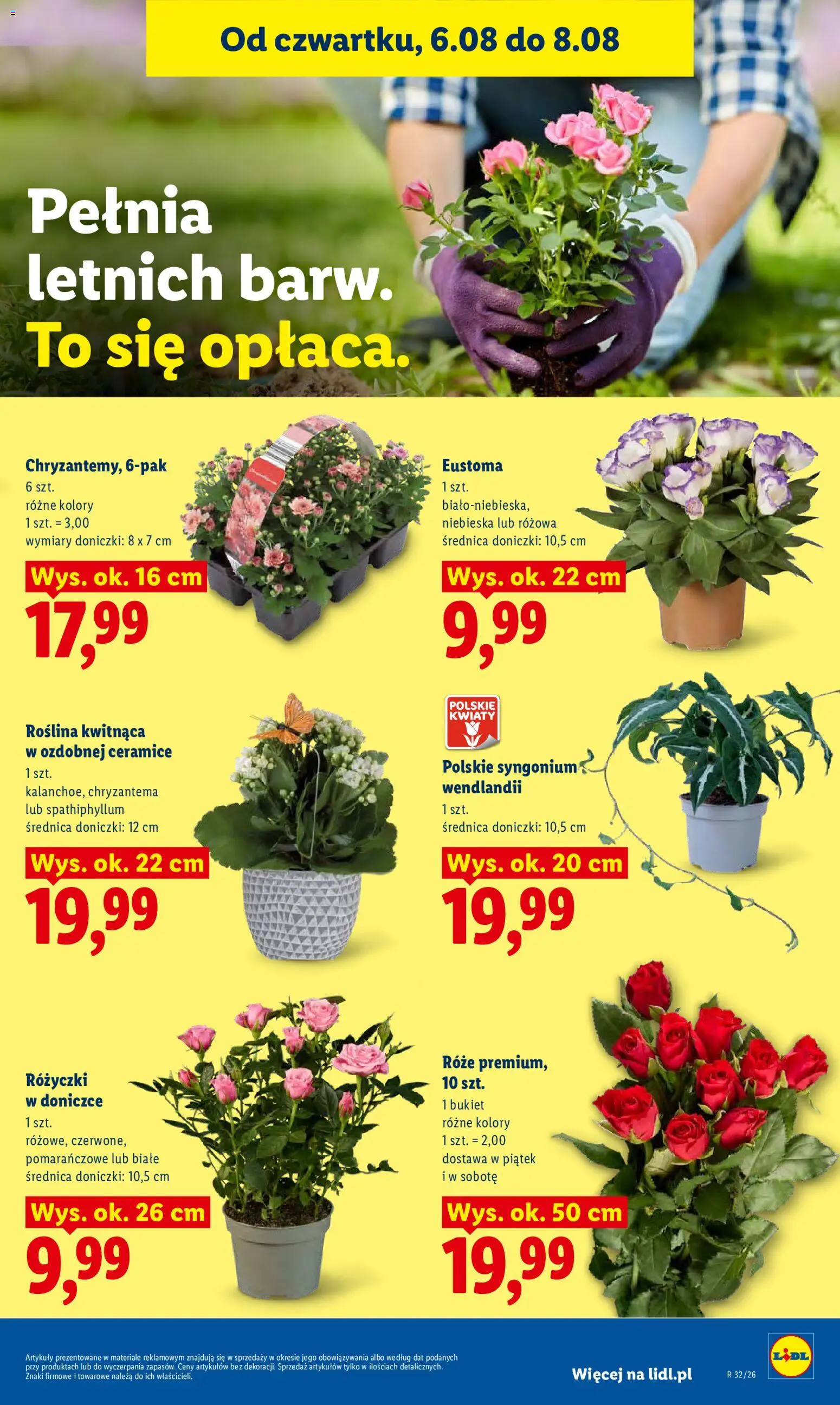 Lidl Polsko leták od 06.08.2026 | Strana: 87