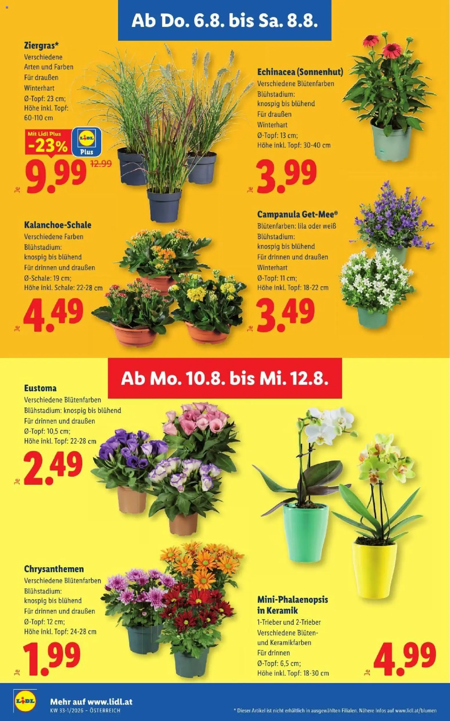 Lidl - Flugblatt gültig ab 06.08.2026 | Seite: 30