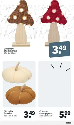 Wibra - Prévisualisation de Wibra catalouge valide à partir de 14/09/2026 | Page: 3 | Produits: Citrouille, Champignon