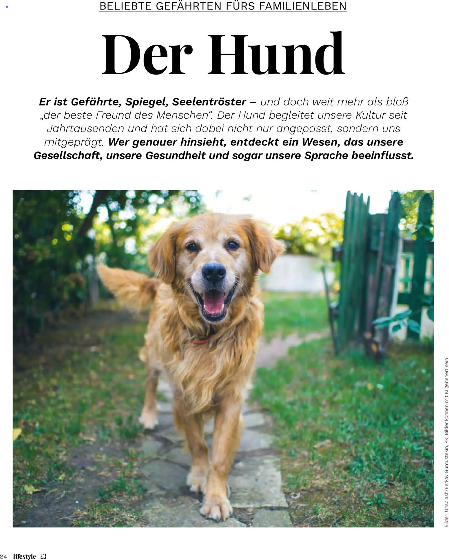 Müller Magazine Lifestyle 4/26 gültig ab 14.07.2026 | Seite: 84
