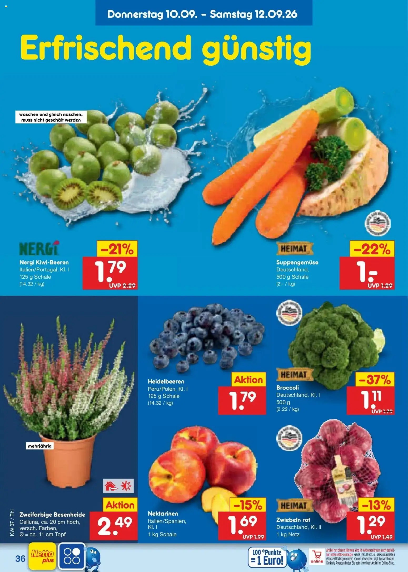 Netto Marken-Discount Prospekt Pirna – gültig ab 07.09.2026 | Seite: 52 | Produkte: Nektarinen, Heidelbeeren, Zwiebeln