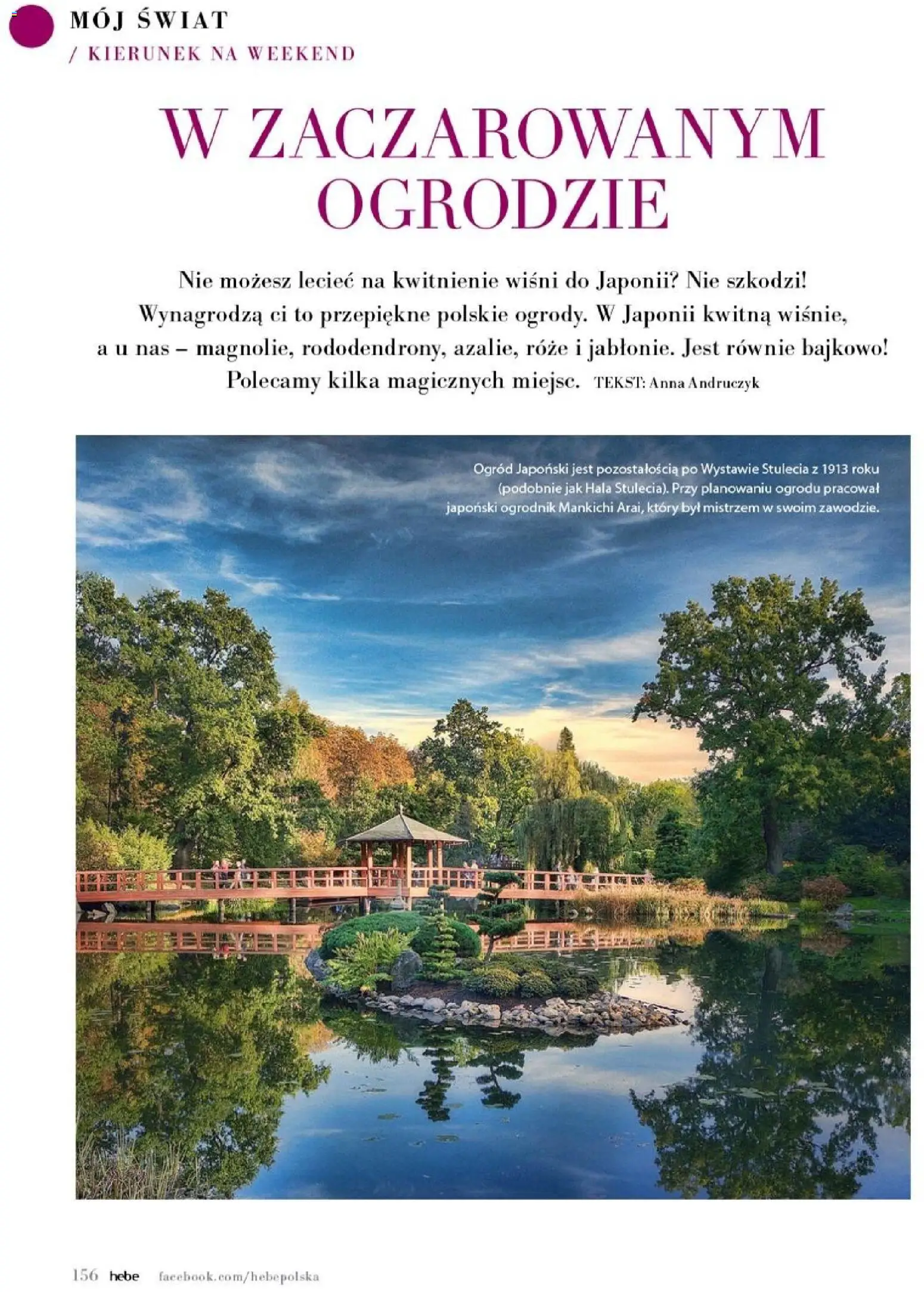 Hebe gazetka - Magazyn od 01.05.2026 | Strona: 156