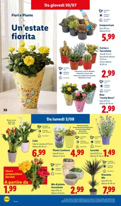 Anteprima del volantino Lidl volantino valido a partire dal 30/07/2026 | Pagina: 30