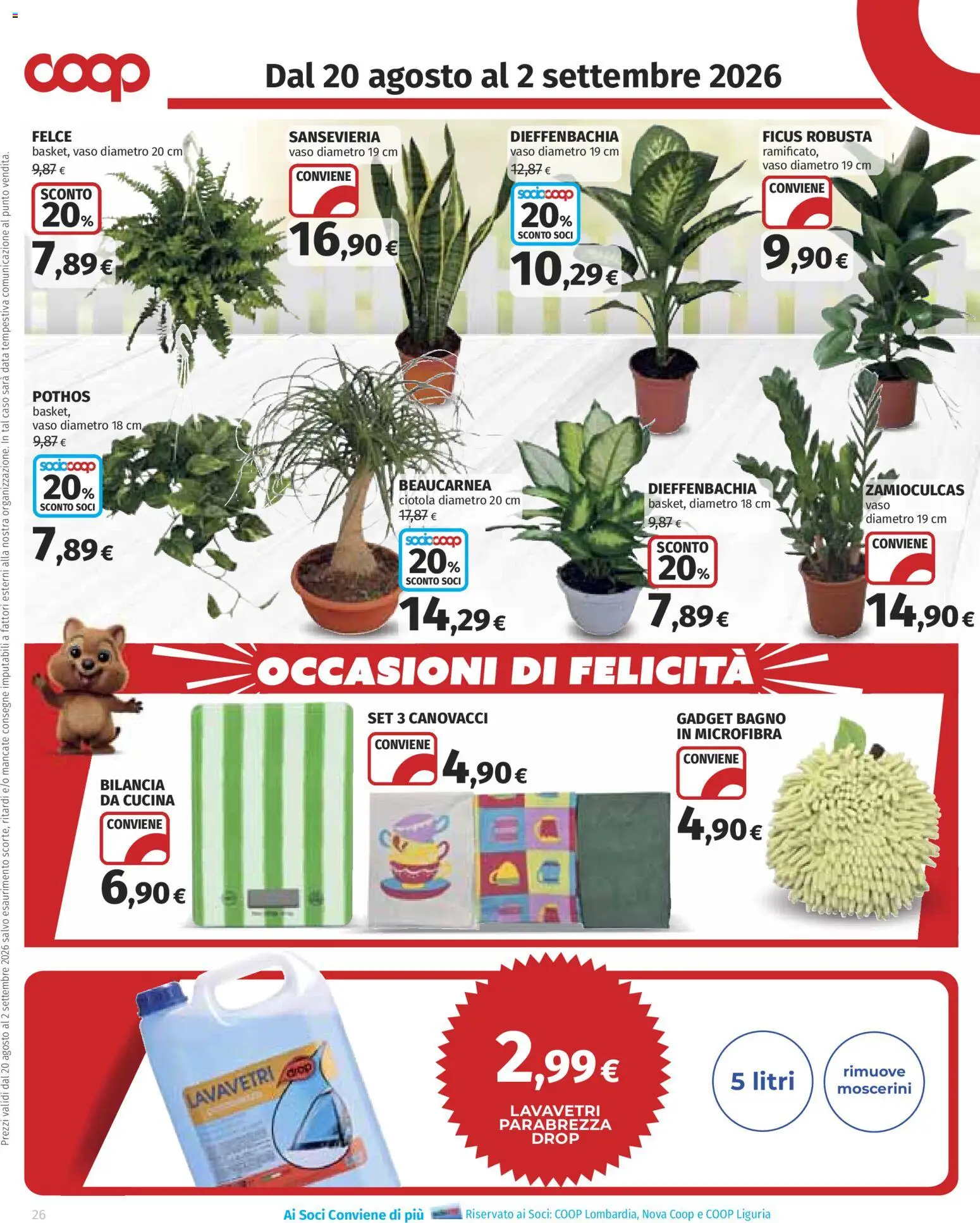 Volantino COOP del 20/08/2026 | Pagina: 26 | Prodotti: Lavavetri, Ciotola, Bagno, Vaso