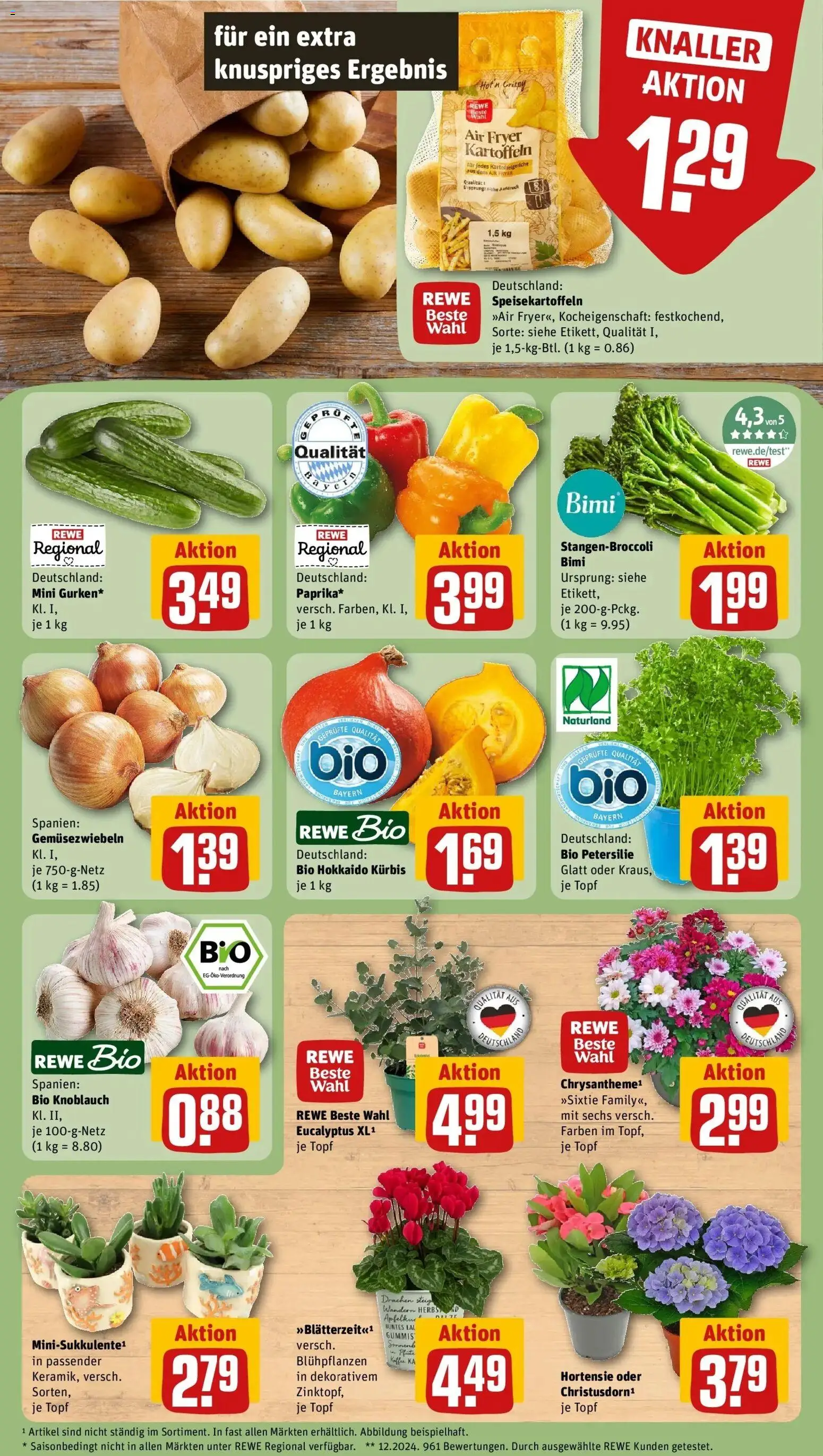 REWE Prospekt ab 24.08.2026 zum Blättern » Angebote | Seite: 7 | Produkte: Kaffee, Kartoffeln, Knoblauch, Kürbis