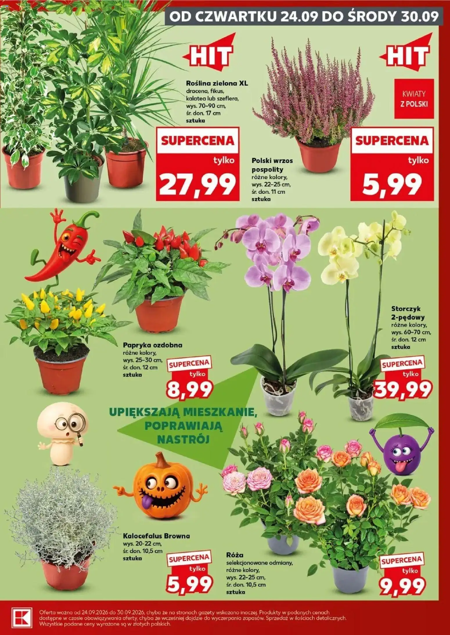 Kaufland gazetka - Super sobota od 26.09.2026 - od jutra PDF | Strona: 7 | Produkty: Wrzos, Papryka, Storczyk, Kwiaty