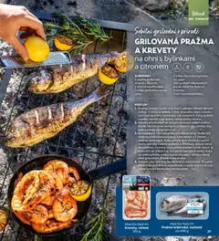 Náhled letáku Albert magazín od 01.06.2026 | Strana: 39 | Produkty: Oleje, Grilování, Lžíce, Rošt