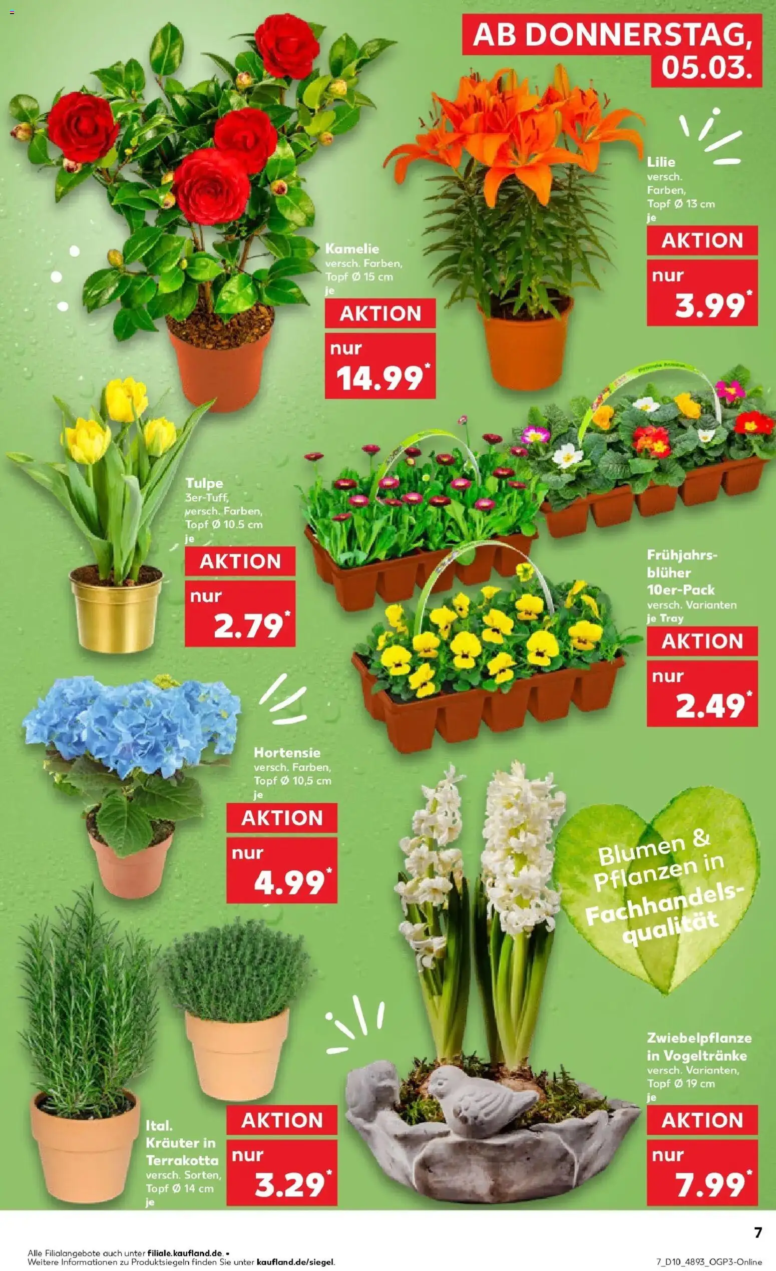 Kaufland Prospekt Lutherstadt Wittenberg	 – gültig ab 02.03.2026 | Seite: 19 | Produkte: Hortensie, Blumen
